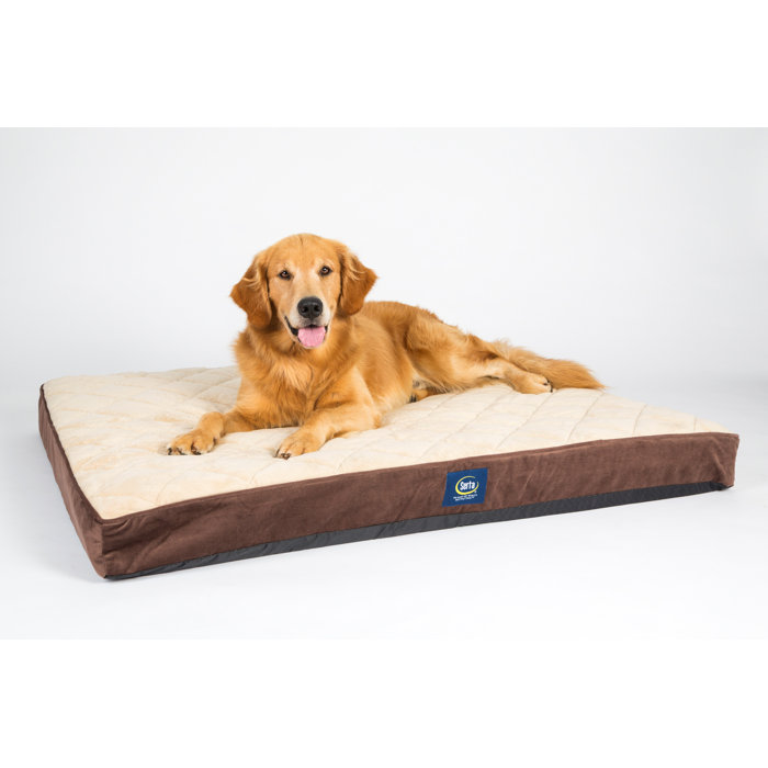Serta Quilted Pillowtop Pet Bed & Reviews Wayfair